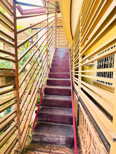 Casa de Nuevo Comfy, Central and Netflix