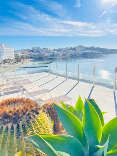 Apartamentos Llobet
