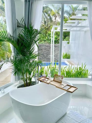 Scenery Resort & Spa