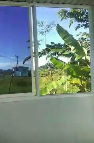 Bay Ellie B and B tiny home