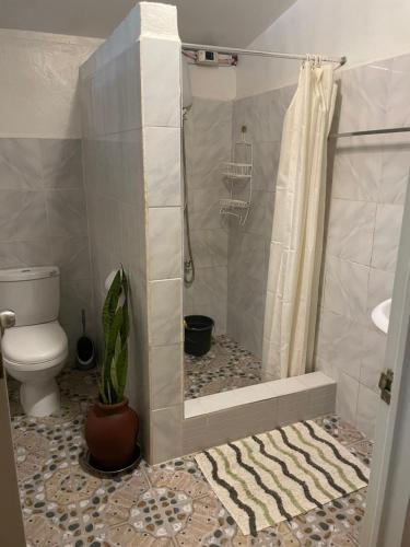 Chelles Guest House And Backpackers