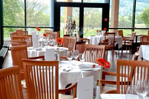 Trans World Hotel Donauwelle Linz