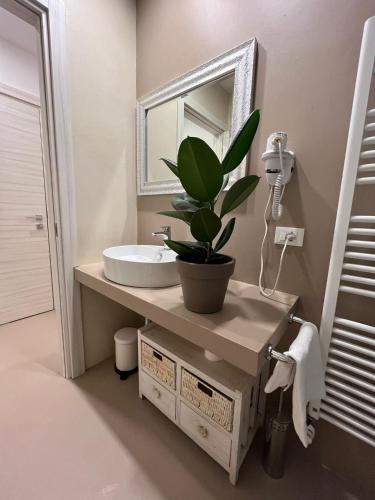 Venus Suites