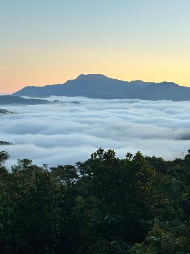 Mountain View Cabin 2