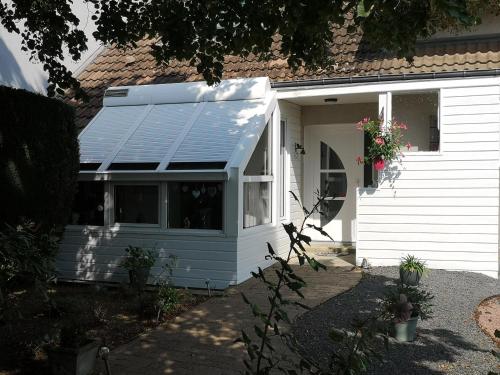 Les Eléphants Bleus