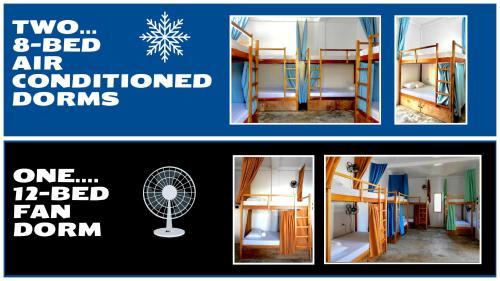 Three Little Birds Surf Hostel