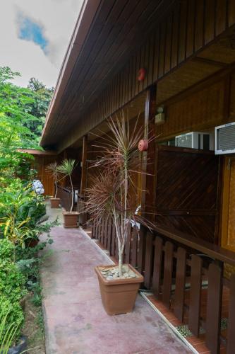 Telesfora Beach Cottages