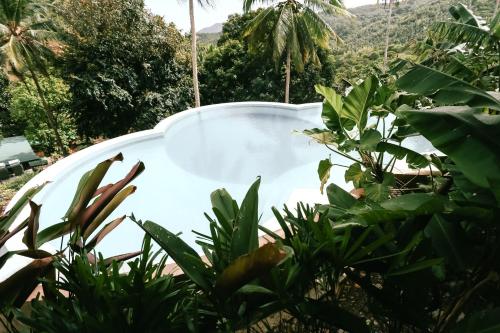 Shepherd's Ridge Mountain Resort