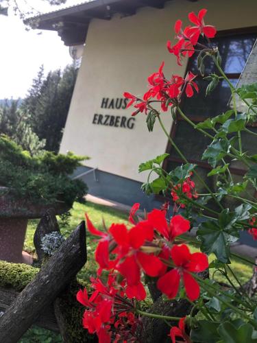 Haus Erzberg
