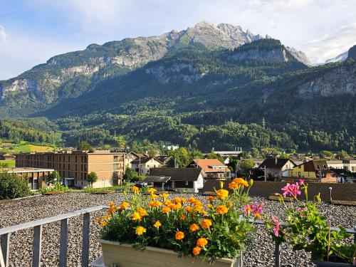 Premium Apartments - central & historical