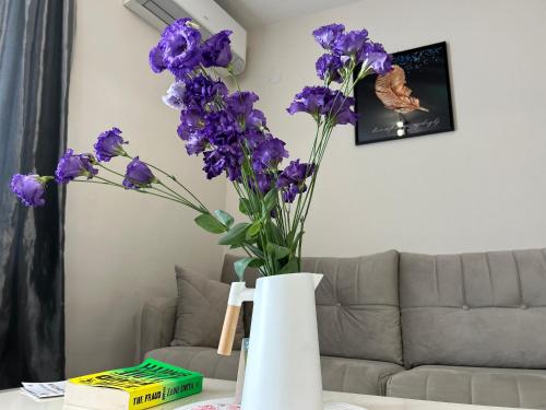 Old Town Apartment 3 with Free Private Parking