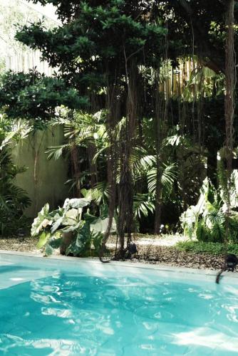 Banyan Villa Panglao with private pool