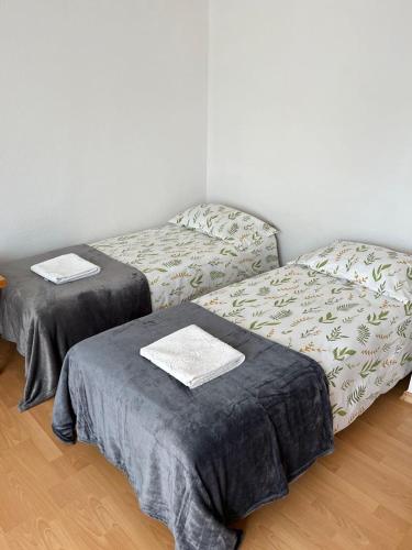 Apartament Korczaka