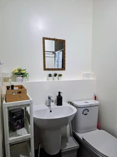 Perfect accommodation for you in Levels Burbank