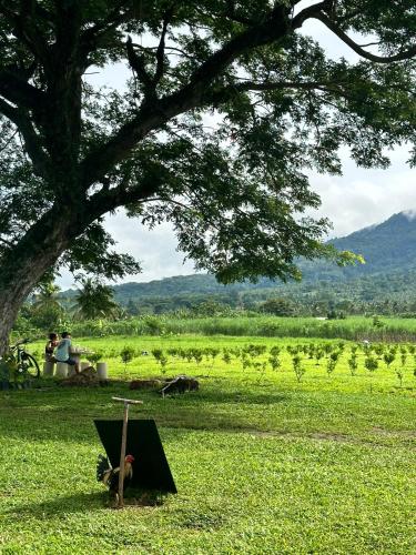 Highland Cabin at Mt Isarog