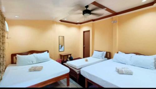 Mam Olson Pensionne House