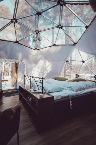 Aurora Canvas Dome