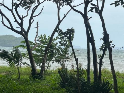 Magalong Beach Resort