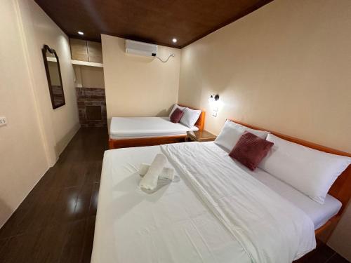 Mount Pinatubo Base Camp at Balai Hermogina