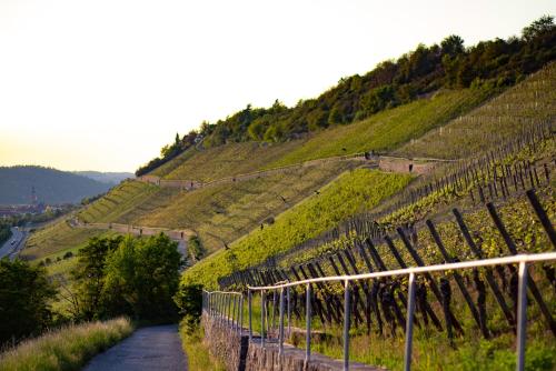 Weingut Leininger Ferienwohnungen