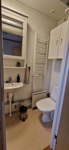 Skutustadir Farm House