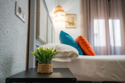 Veronica Centro Hostal