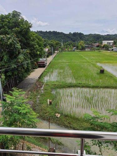 Ashburns Transient Bauang La Union