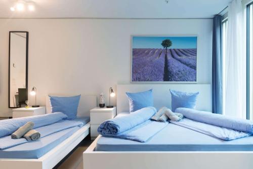 Allmend Apartments By HITrental