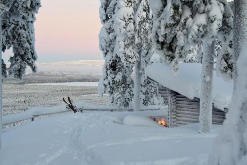 Napapiirin Järvilomat