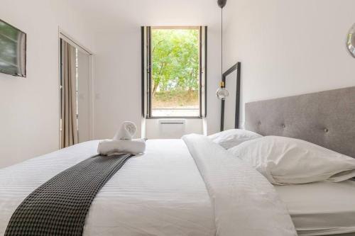 Appartement Albi Parking Gratuit