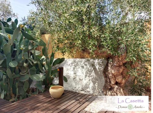 Domus Amelio - Country Rooms