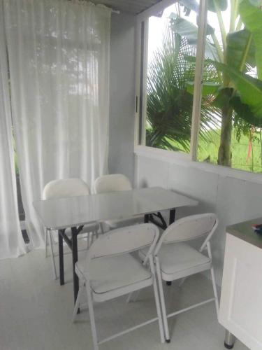 Bay Ellie B and B tiny home