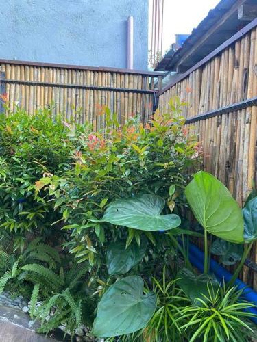 A Nipa Hut House with Pool