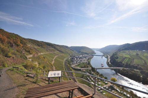 Weingut Amlinger und Sohn
