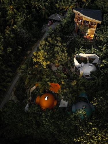 Jungle KingDomes Guest House