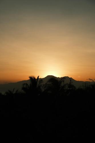 Jungle KingDomes Guest House