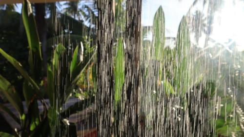 Sleepy Gypsea Villa Siargao - Suite Vibe