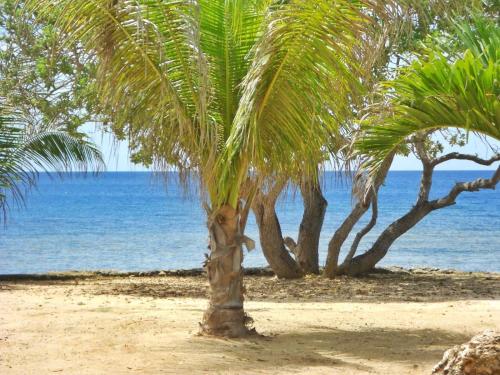 Gold View Beach Resort