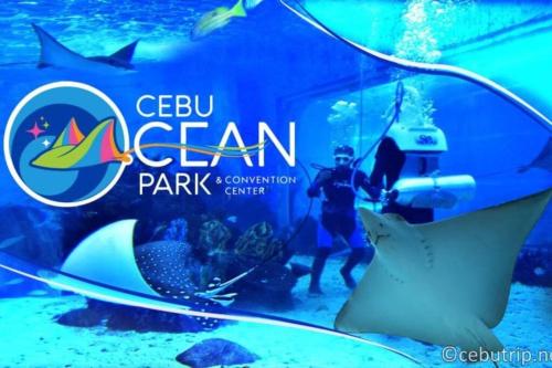 1708 Pool Gym Wi-Fi with Netflix Near Ayala and IT Park