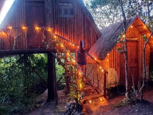 Sanctuaria Treehouses Busuanga