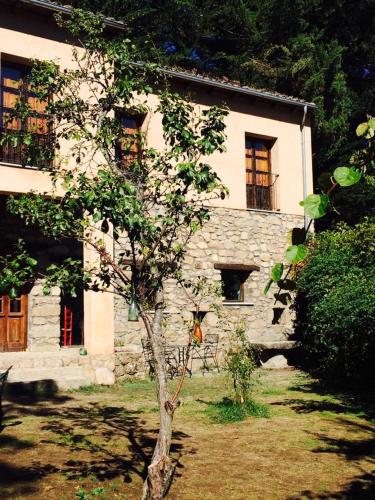 El Jardin del Conde