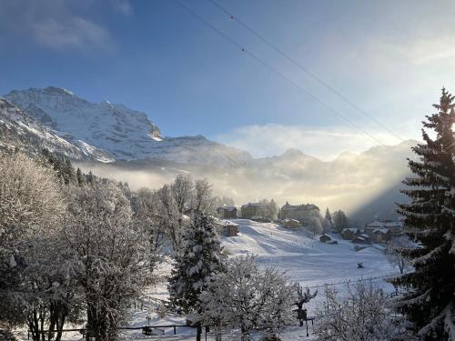 Beausite Swiss Quality Park Hotel