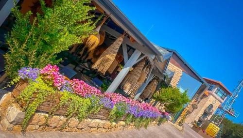 Pino - Villa, Casa, Cucina е Terrazza