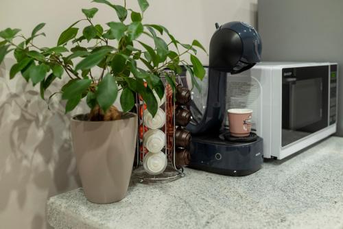 MDM APARTMENT CITY CENTER FELICITA DeLUXE