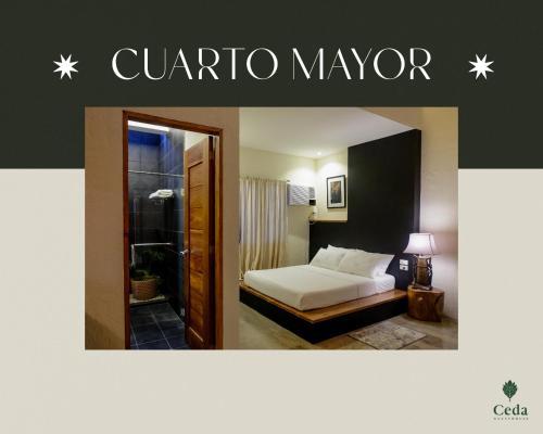 Ceda Guest House by HiveRooms