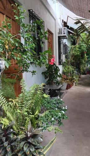 Susing Seaside Guesthouse