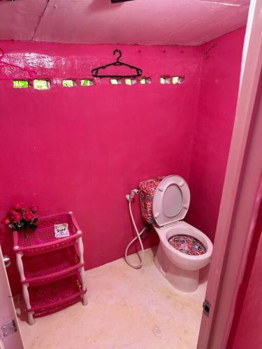 Little Pink Palace, near CWC