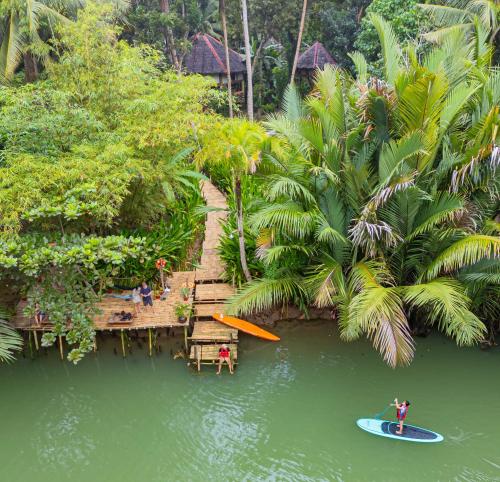 Water To Forest Ecolodge