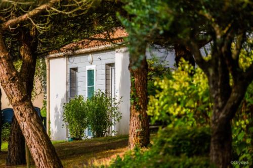 Adonis Les Epesses by Olydea