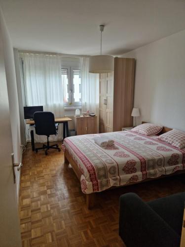 Room in Shared Apartment Geneva